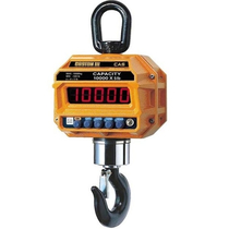 Весы крановые CAS Caston-III 10THD