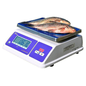 Весы общего назначения CERTUS Base CBCв